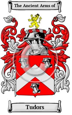 origine cognome tudor|Tudor History, Family Crest & Coats of Arms .